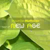 Maximilien Mathevon - Best Of New Age